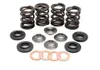 Kibblewhite Titanium Intake Exhaust Valve Spring Kit