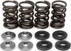 KibbleWhite Racing Exhaust Intake Valve Spring Kit