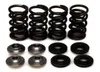 KibbleWhite Racing Exhaust Intake Valve Spring Kit