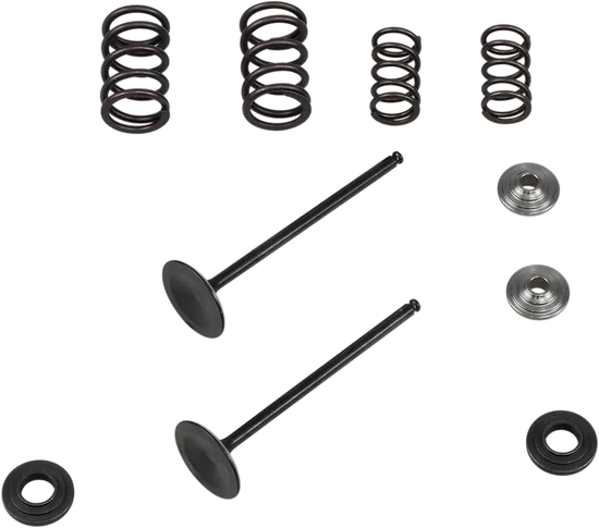 Kibblewhite  Stainless Steel Conversion Intake Valve Spring Kit