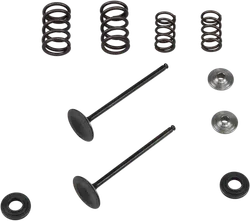 Kibblewhite  Stainless Steel Conversion Intake Valve Spring Kit