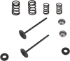 Kibblewhite  Stainless Steel Conversion Intake Valve Spring Kit