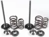 Kibblewhite  Stainless Steel Conversion Intake Valve Spring Kit