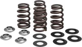 Kibblewhite Beehive Racing Valve Spring Kit