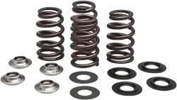 Kibblewhite Beehive Racing Valve Spring Kit