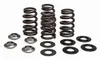 Kibblewhite Beehive Racing Valve Spring Kit