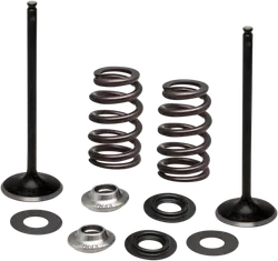 Kibblewhite Stainless Steel Conversion Intake Valve Spring Kit