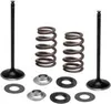 Kibblewhite Stainless Steel Conversion Intake Valve Spring Kit