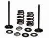 Kibblewhite Stainless Steel Conversion Intake Valve Spring Kit