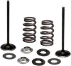Kibblewhite Stainless Steel Conversion Intake Valve Spring Kit
