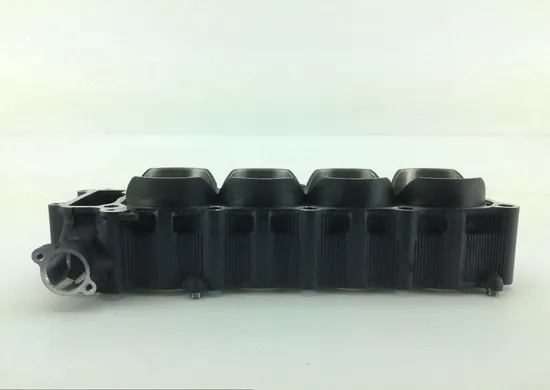 Engine Cylinder Jug 2004 Yamaha YZF R1 1117A x