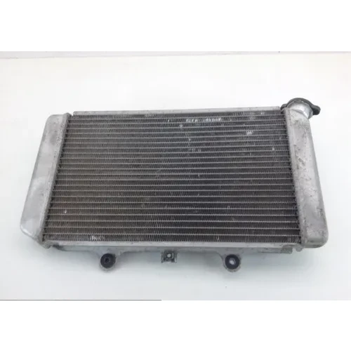 Engine Radiator Cooling 2004 Yamaha Grizzly 660 YFM660F 4x4 1136A 5