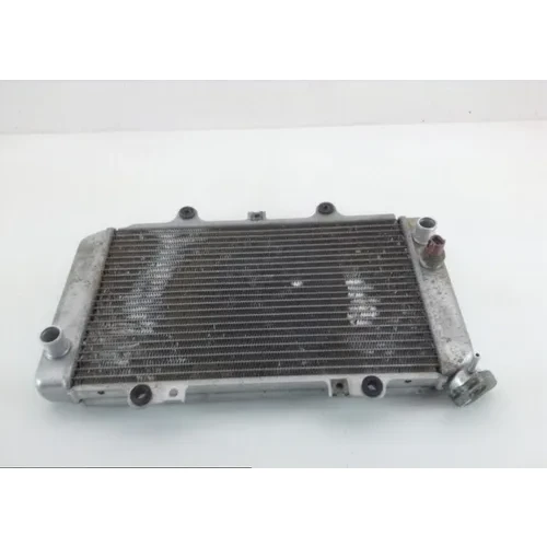 Engine Radiator Cooling 2004 Yamaha Grizzly 660 YFM660F 4x4 1136A 3