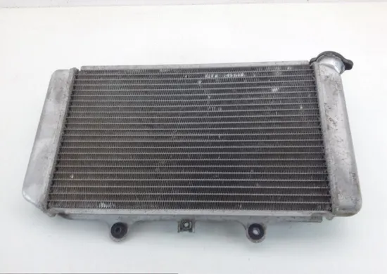 Engine Radiator Cooling 2004 Yamaha Grizzly 660 YFM660F 4x4 1136A