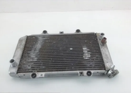 Engine Radiator Cooling 2004 Yamaha Grizzly 660 YFM660F 4x4 1136A
