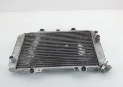 Engine Radiator Cooling 2004 Yamaha Grizzly 660 YFM660F 4x4 1136A