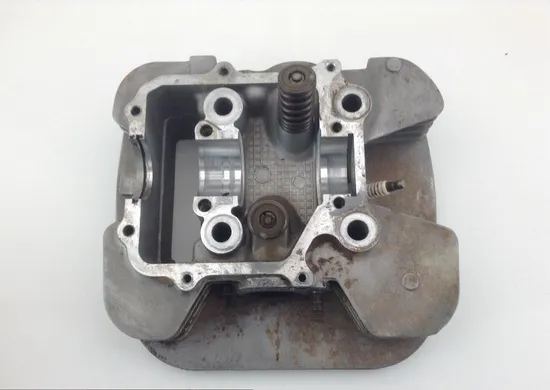 Engine Cylinder Head Complete W Valves 2000 Polaris Magnum 325 2x4 1154 Parts