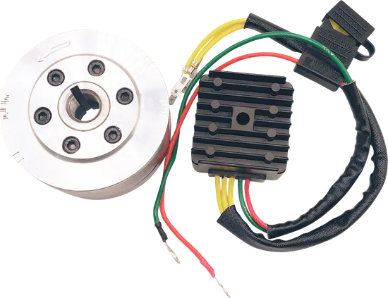 Ricks Hot Shot Charging Kit w Stator Regulator