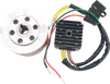 Ricks Hot Shot Charging Kit w Stator Regulator