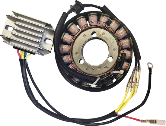 Ricks Hot Shot Charging Kit w Stator Regulator