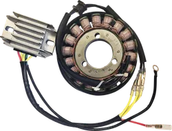 Ricks Hot Shot Charging Kit w Stator Regulator