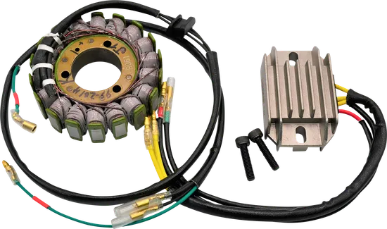 Ricks Hot Shot Charging Kit w Stator Regulator