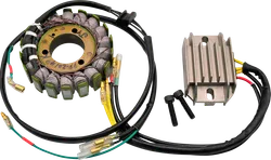 Ricks Hot Shot Charging Kit w Stator Regulator