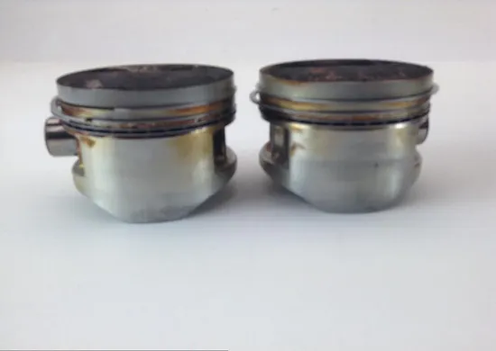 Engine Cylinder Jug W Piston 2003 Kawasaki Concours 1000 ZG1000A 1148