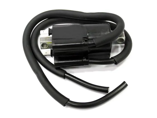 Bronco Ignition Coil For Spark Plug