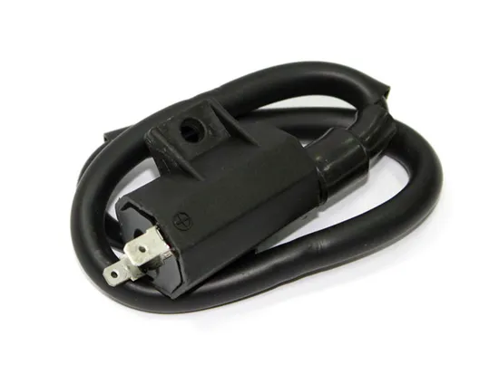 Bronco Ignition Coil