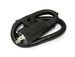 Bronco Ignition Coil