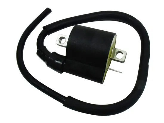 Bronco Ignition Coil