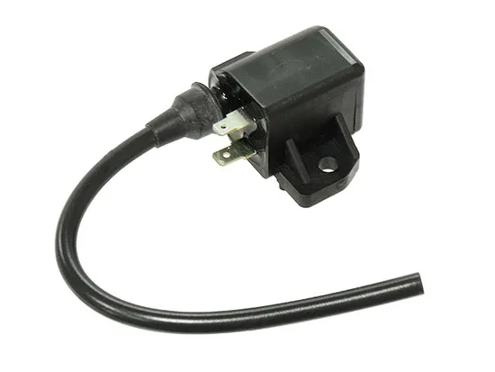 Bronco Ignition Coil