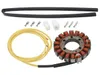 Bronco Alternator Stator Generator