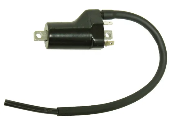 Bronco Ignition Coil