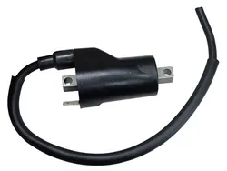 Bronco Ignition Coil