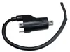 Bronco Ignition Coil
