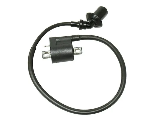 Bronco Ignition Coil
