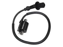 Bronco Ignition Coil