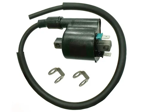 Bronco Ignition Coil 1