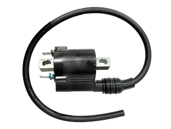 Bronco Ignition Coil 2