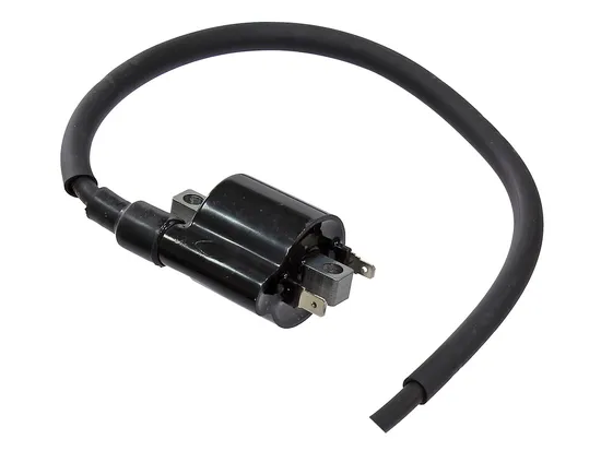 Bronco Ignition Coil