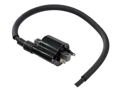 Bronco Ignition Coil