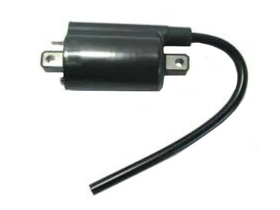 Bronco Ignition Coil