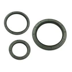 Bronco Rear Differential Seal Kit