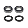 Bronco Rear Wheel Bearing Kit