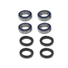 Bronco Rear Wheel Bearing Kit