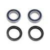 Bronco Rear Wheel Bearing Kit