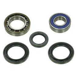 Bronco Rear Wheel Bearing Kit