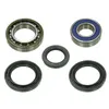Bronco Rear Wheel Bearing Kit